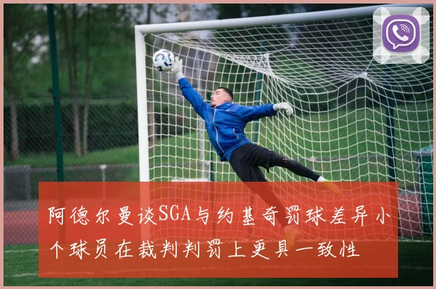阿德尔曼谈SGA与约基奇罚球差异小个球员在裁判判罚上更具一致性