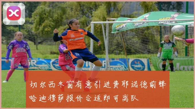 切尔西冬窗有意引进费耶诺德前锋哈迪穆萨报价合适即可离队